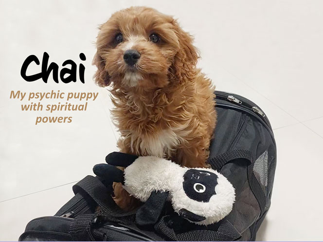 Vines Spiritual Puppy