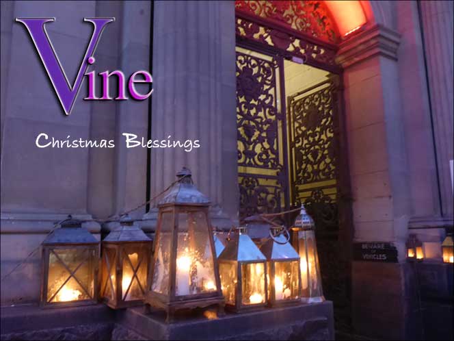 Vine's Melbourne Christmas