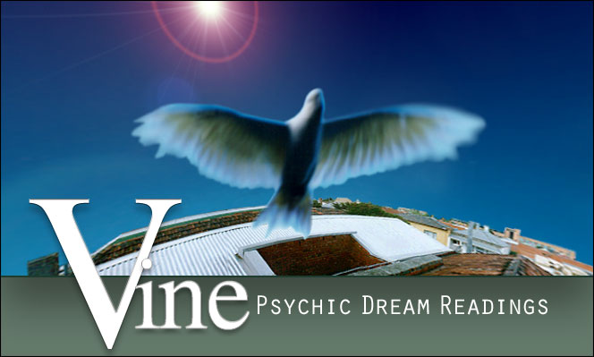 Vine Psychic Dream Readings the Purpose of Dreams