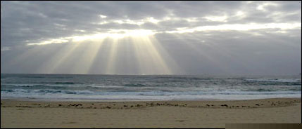 Melbourne Psychic Vine - How to Find the Right Psychic