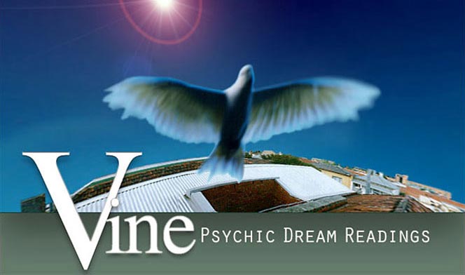 Vine Psychic Dream Readings