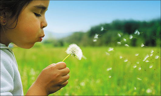 Girl blowing a dandelion, showing Vine’s unique breath technique, which helps make her phone psychic readings so accurate.