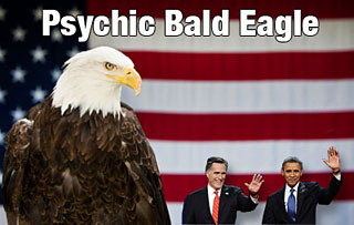 Psychic Bald Eagle