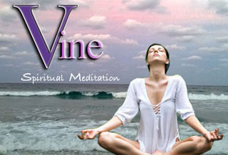 Meditation-Vine-Clairvoyant Medium