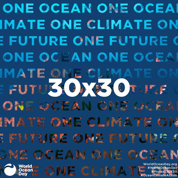 World Oceans Day