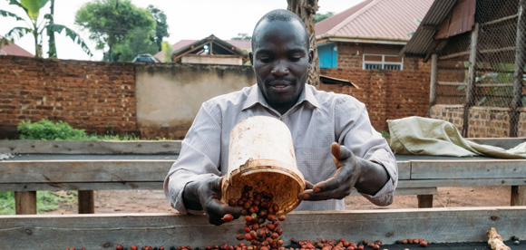 Coffee and climate change