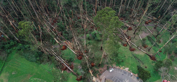 Dandenong Ranges Storm