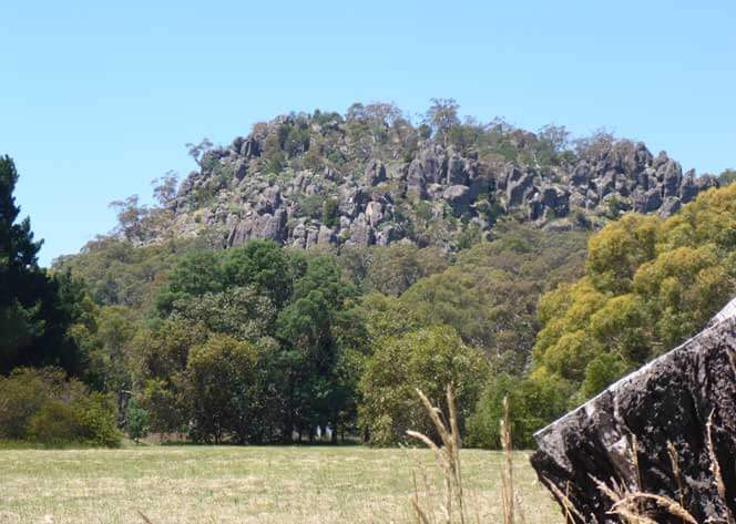 Hanging Rock Ley Line - Vine Psychic