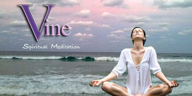 Meditation Techniques - Vine Psychic