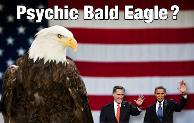 Psychic Bald Eagle