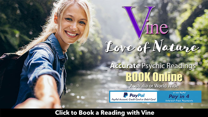 Vine Seer spiritual breath psychic readings