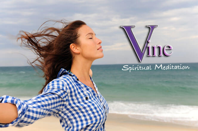 Stillness Meditation Vine Psychic Readings