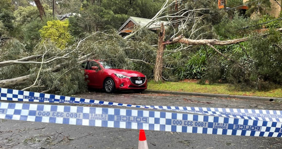 Melbourne Storm