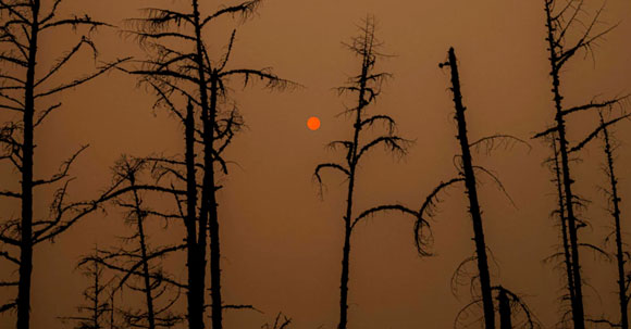 Siberia Wild Fires Out of Control