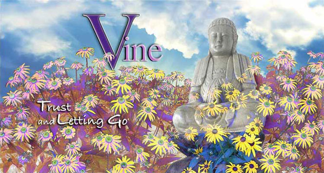 Vine Psychic Jade Buddha Trust and Letting Go