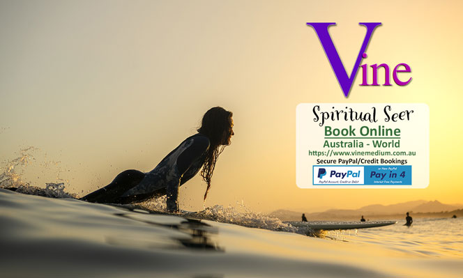 Vine Seer Summer - Book a Reading