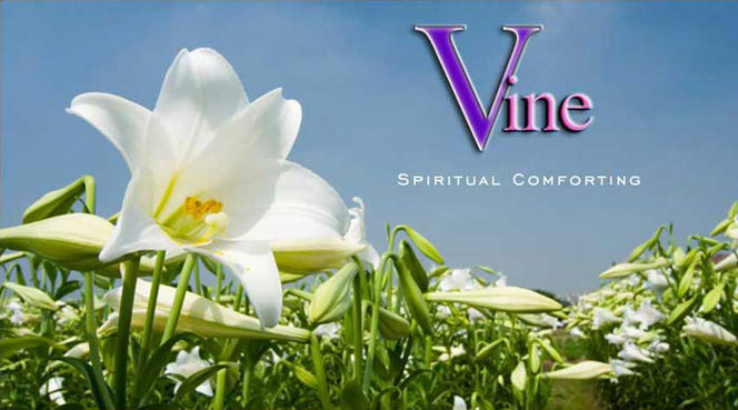 Vine Psychic spiritual comforting