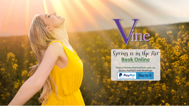Vine Seer Psychic Readings