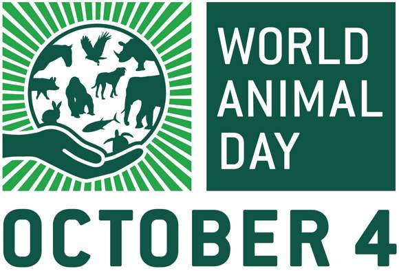 World Animal Day