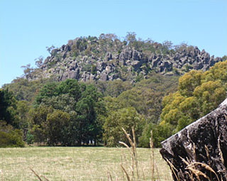 Hanging Rock Ley Lines - Psychic Vine