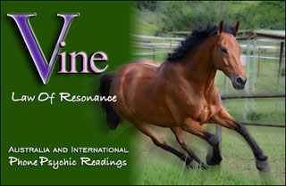 Vine Psychic Law of Resonance