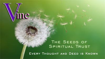 Seeds of Trust - Every Thought and Deed is Known