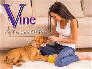 Vine Psychic Pets