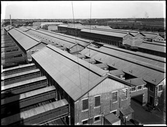 picture of Homebush Abattoir, Sydney Circa-1920