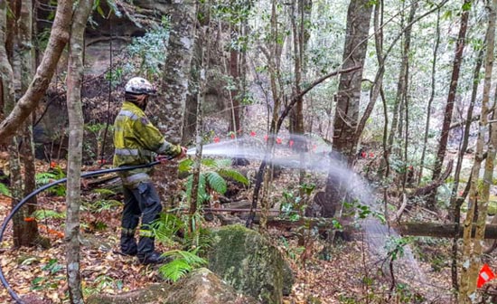 Protecting heritage trees from bushfires - prediction