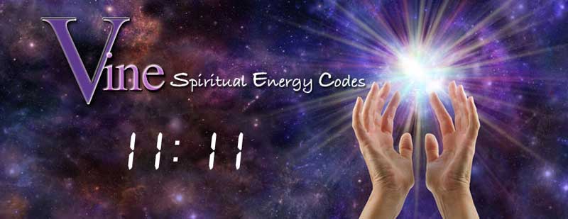 11-1-Energy-Codes