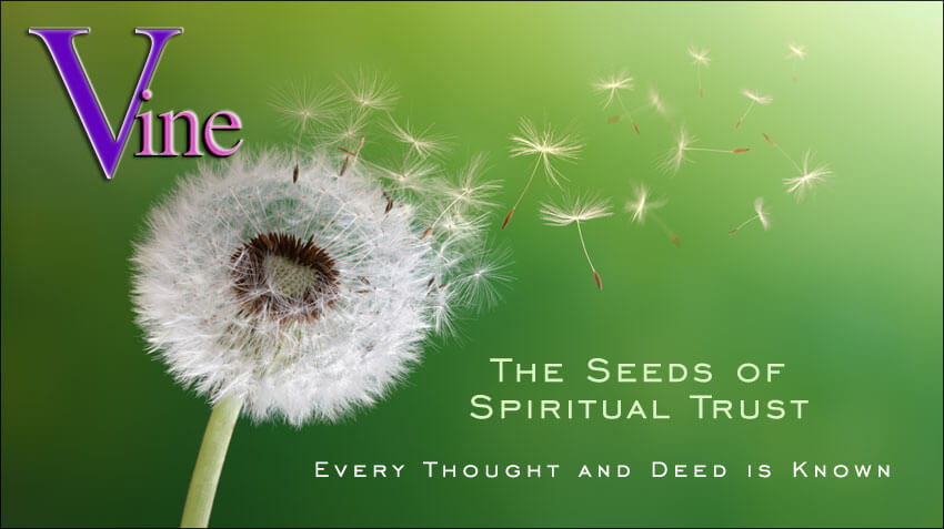 Seeds of Spiritual Trust - Every Thought and Deed is Known