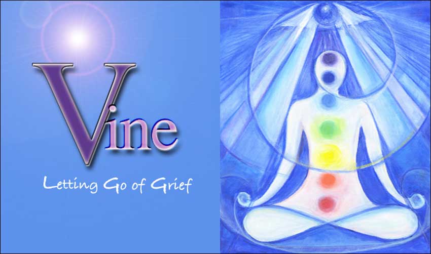 Letting Go of Grief - Vine Clairvoyant Medium