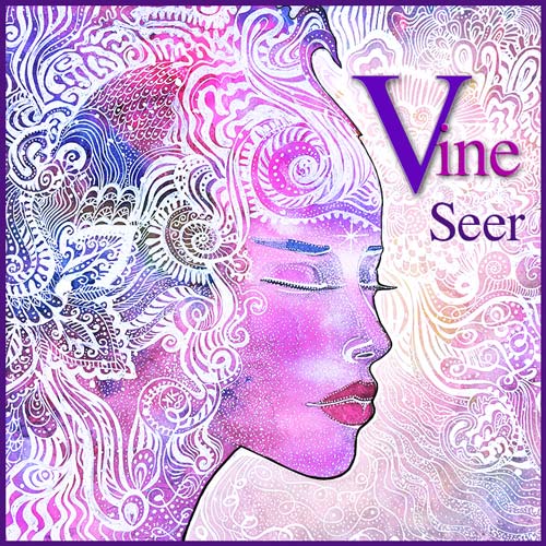 Vine Seer Podcast